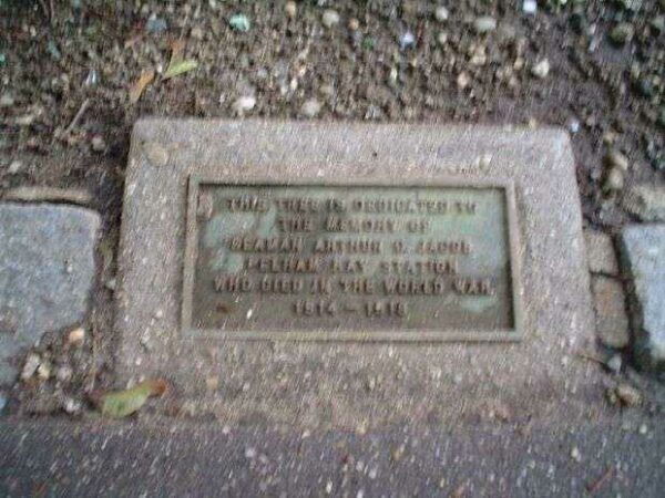 SEAMAN ARTHUR C. JACOB MEMORIAL TREE PLAQUE