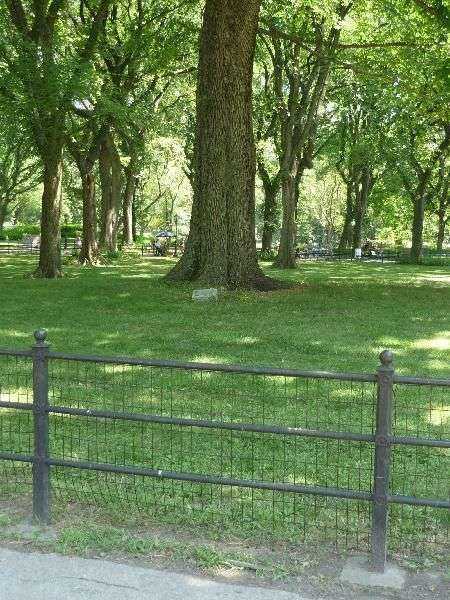 SERGEANT JOYCE KILMER WAR MEMORIAL TREES