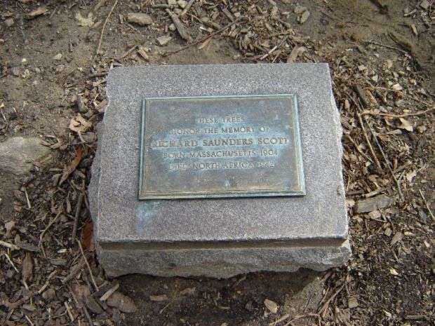 RICHARD SAUNDERS SCOTT WAR MEMORIAL TREE PLAQUE