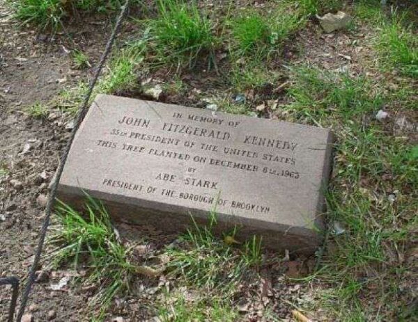 JOHN FITZGERALD KENNEDY MEMORIAL TREE PLAQUE