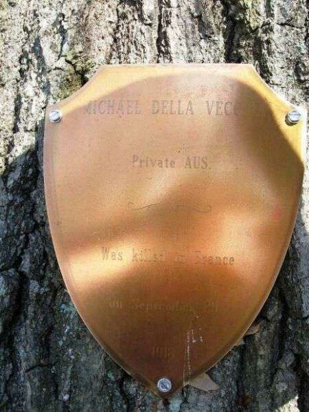PRIVATE MICHAEL DELLA VECCHIA MEMORIAL TREE PLAQUE