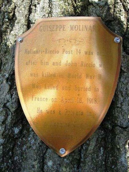 PRIVATE GUISEPPE MOLINARI MEMORIAL TREE PLAQUE