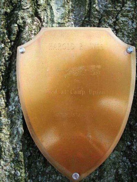 HAROLD R. IVES MEMORIAL TREE PLAQUE