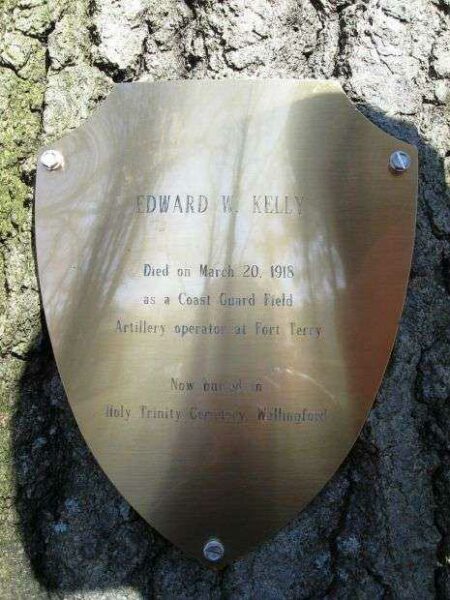 EDWARD W. KELLY MEMORIAL TREE PLAQUE