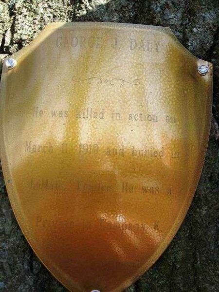 PRIVATE GEORGE J. DALY MEMORIAL TREE PLAQUE