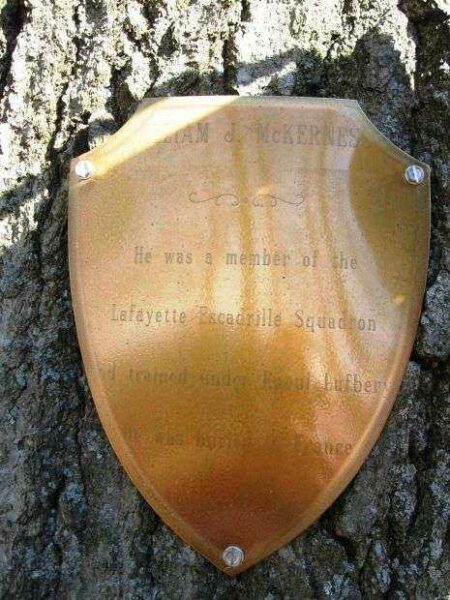 WILLIAM J. MCKERNES MEMORIAL TREE PLAQUE