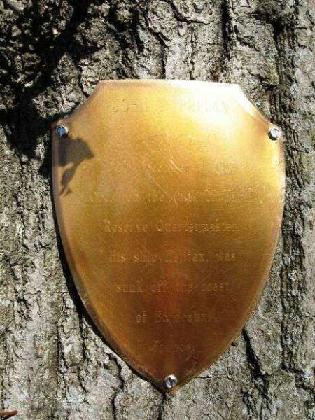 JOHN T. PHELAN MEMORIAL TREE PLAQUE