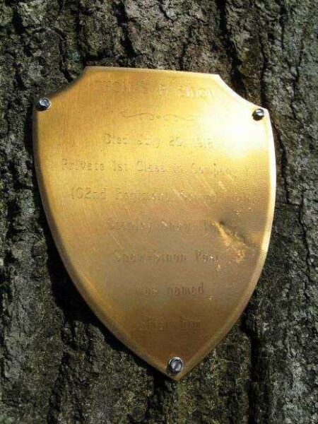 P.F.C. THOMAS P. SINON MEMORIAL TREE PLAQUE