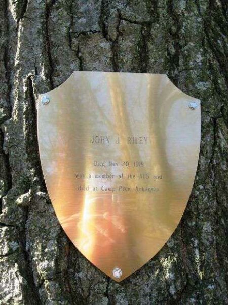 JOHN J. RILEY MEMORIAL TREE PLAQUE