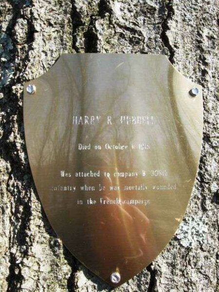 HARRY R. HUBBELL MEMORIAL TREE PLAQUE