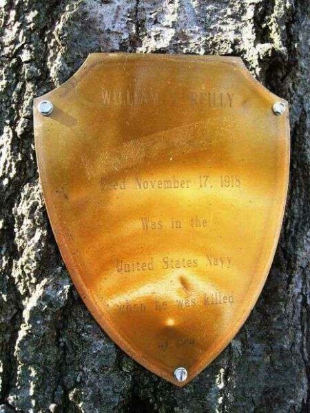 WILLIAM T. REILLY MEMORIAL TREE PLAQUE