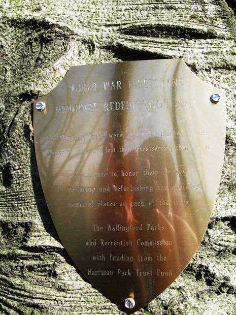 WORLD WAR I MEMORIAL TREE PLAQUE REDEDICATION