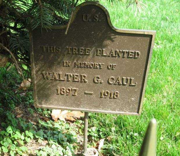 WALTER G. CAUL MEMORIAL TREE PLAQUE