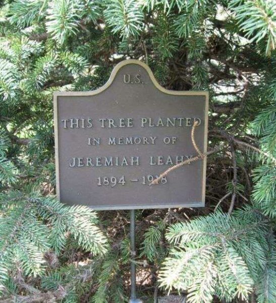 JEREMIAH LEAHY MEMORIAL TREE PLAQUE