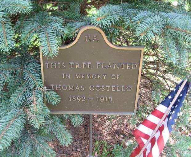 THOMAS COSTELLO MEMORIAL TREE PLAQUE