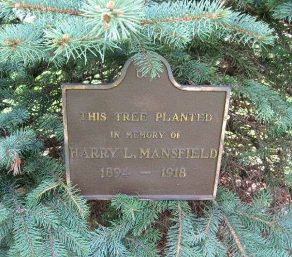 HARRY L. MANSFIELD MEMORIAL TREE PLAQUE