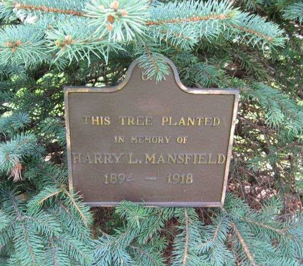 HARRY L. MANSFIELD MEMORIAL TREE PLAQUE