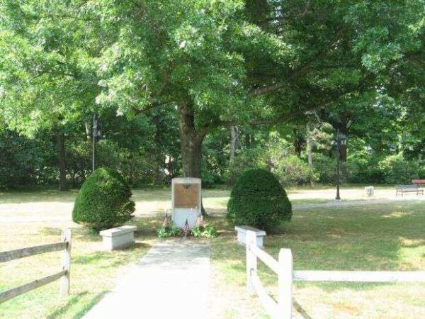 BRISTOL WORLD WAR I MEMORIAL TREE