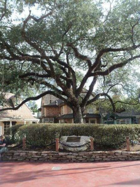 THE LIBERTY TREE OF ORLANDO MEMORIAL