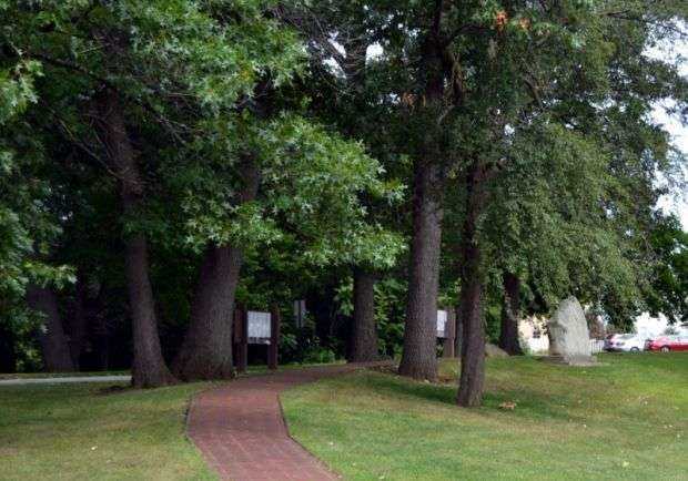 MEMORIAL FOREST PLANTING