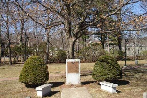 BRISTOL WORLD WAR I MEMORIAL OAK TREE