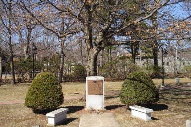 BRISTOL WORLD WAR I MEMORIAL OAK TREE