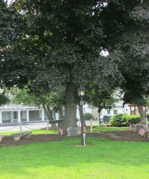 CLARENCE CIVIL WAR MEMORIAL TREE