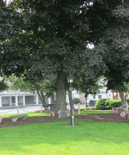 CLARENCE CIVIL WAR MEMORIAL TREE