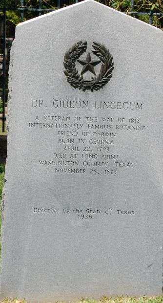 DR. GIDEON LINCECUM WAR MEMORIAL