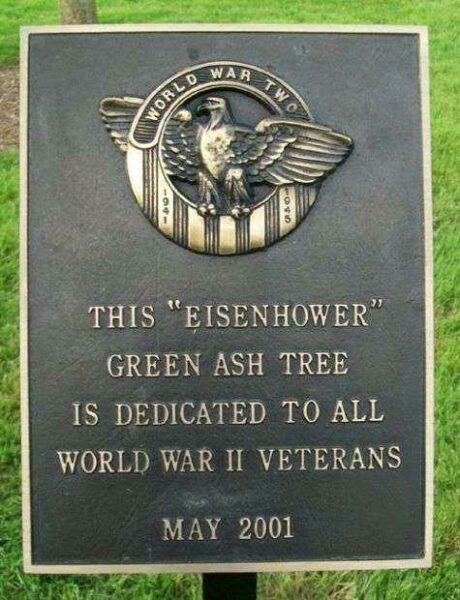 TWINSBURG “EISENHOWER” GREEN ASH TREE MEMORIAL PLAQUE