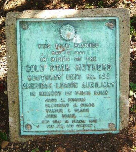 GOLD STAR MOTHERS WORLD WAR MEMORIAL TREE PLAQUE