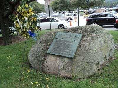 BUFFALO SOLDIER FIELD MEMORIAL