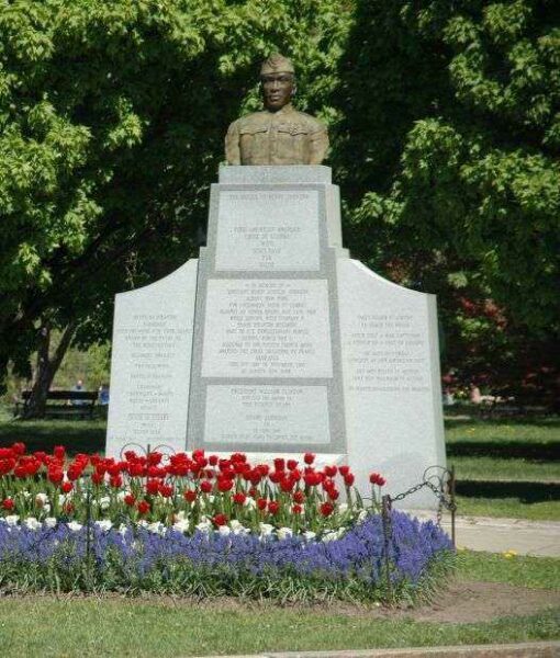 THE BATTLE OF HENRY JOHNSON WAR MEMORIAL