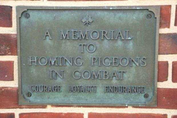 A MEMORIAL TO HOMING PIGEONS IN COMBAT MEMORIAL BIRDBATH PLAQUE