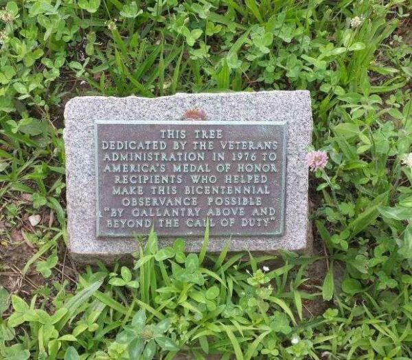 VETERANS ADMINISTRATION MEDAL OF HONOR MEMORIAL TREE PLAQUE