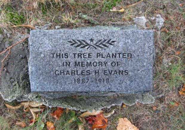 CHARLES H EVANS WAR MEMORIAL TREE STONE