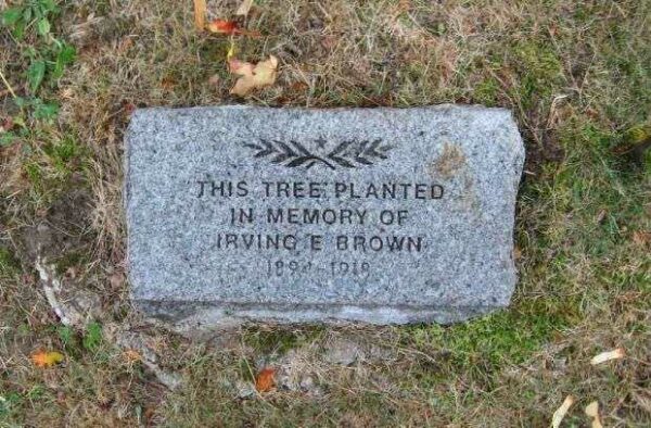 IRVING E BROWN WAR MEMORIAL TREE STONE