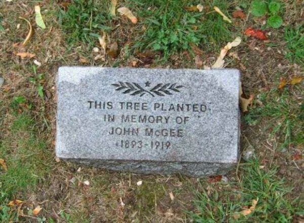 JOHN MCGEE WAR MEMORIAL TREE STONE