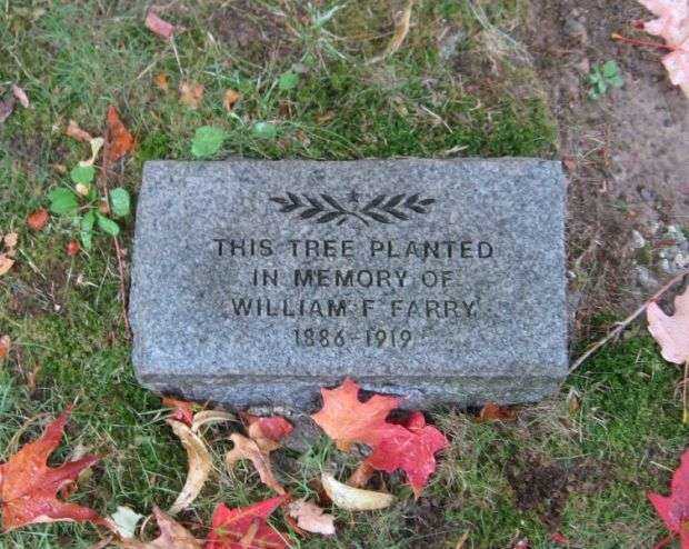 WILLIAM F FARRY WAR MEMORIAL TREE STONE