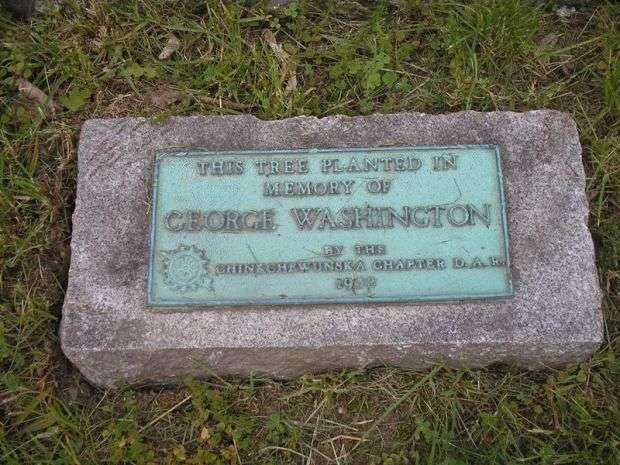 GEORGE WASHINGTON MEMORIAL TREE PLAQUE