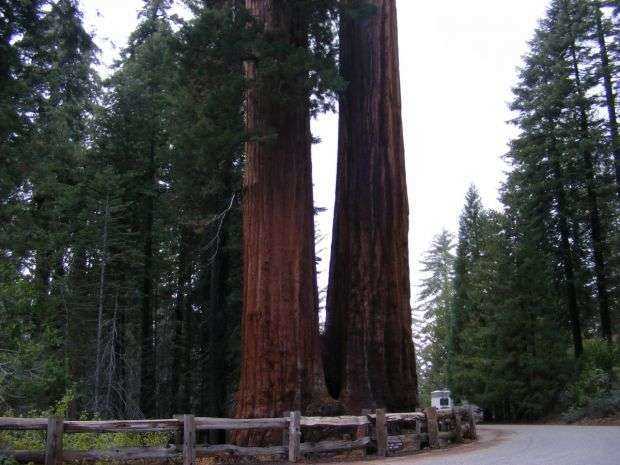 GENERAL GRANT TREE TRAIL MEMORIAL