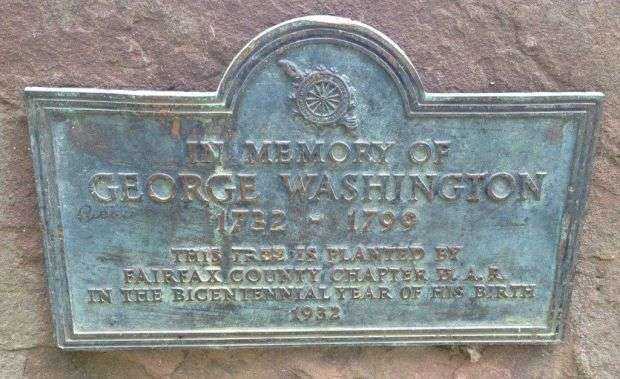 FAIRFAX COUNTY GEORGE WASHINGTON BICENTENNIAL TREE PLAQUE