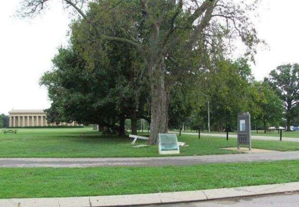 LIEUTENANT JAMES SIMMONS TIMOTHY WAR MEMORIAL TREE