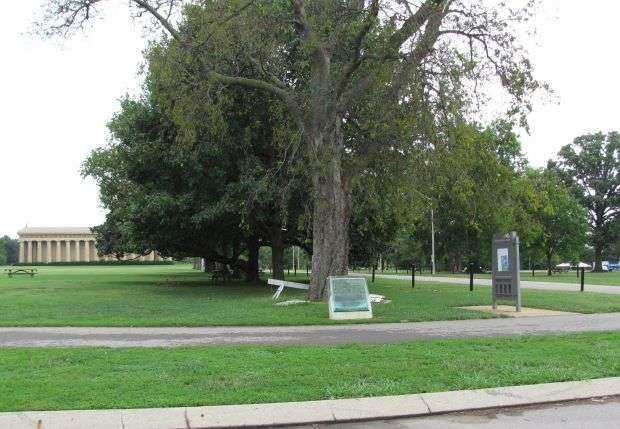 LIEUTENANT JAMES SIMMONS TIMOTHY WAR MEMORIAL TREE