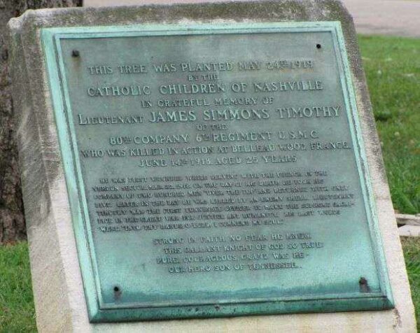 LIEUTENANT JAMES SIMMONS TIMOTHY WAR MEMORIAL TREE PLAQUE
