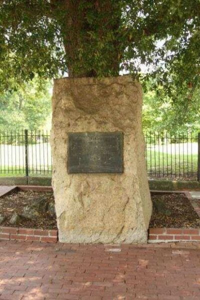UNIVERSITY OF SOUTH CAROLINA MEXICAN BORDER AND WORLD WAR I MEMORIAL TREES STONE & PLAQUE