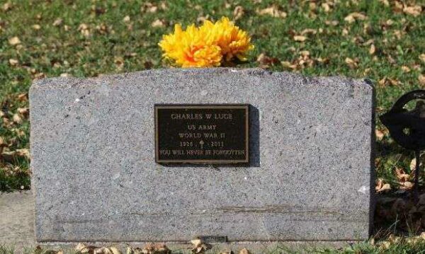 CHARLES W LUCE MEMORIAL CEMETERY STONE