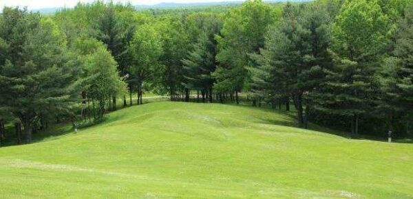 MOURNING DOVE EFFIGY MOUND MEMORIAL