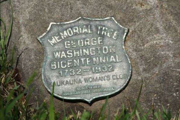MEMORIAL TREE GEORGE WASHINGTON BICENTENNIAL PLAQUE