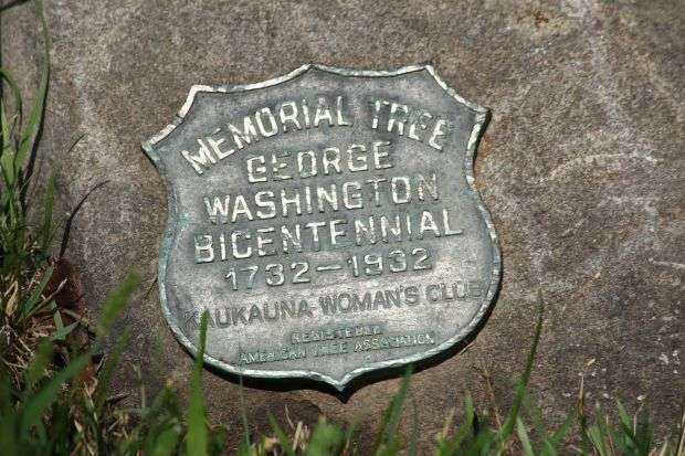 MEMORIAL TREE GEORGE WASHINGTON BICENTENNIAL PLAQUE